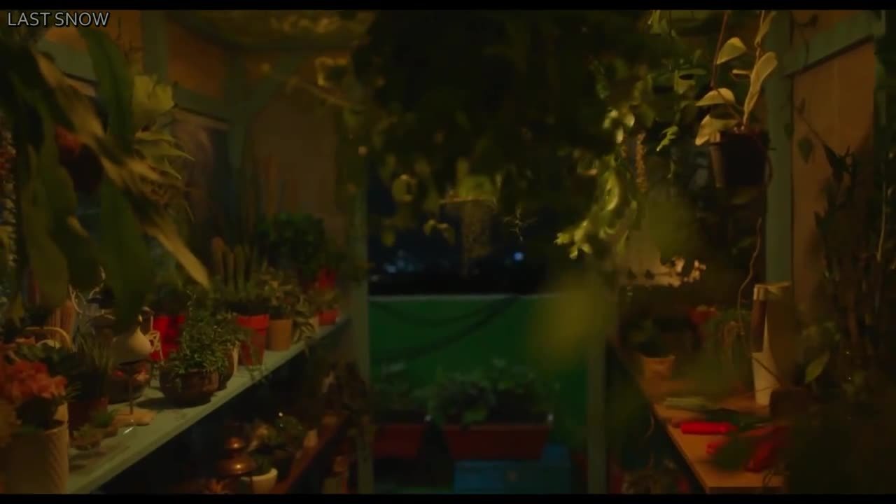 Брендинг в Сонсу-доне