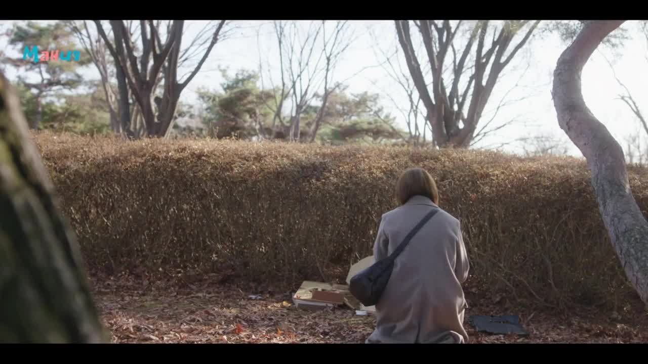 Этот роман – форс-мажор