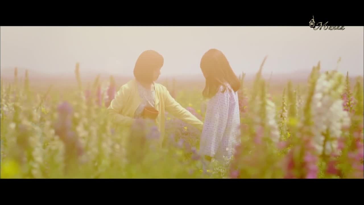 Однажды разрушение вошло в дверь моего дома