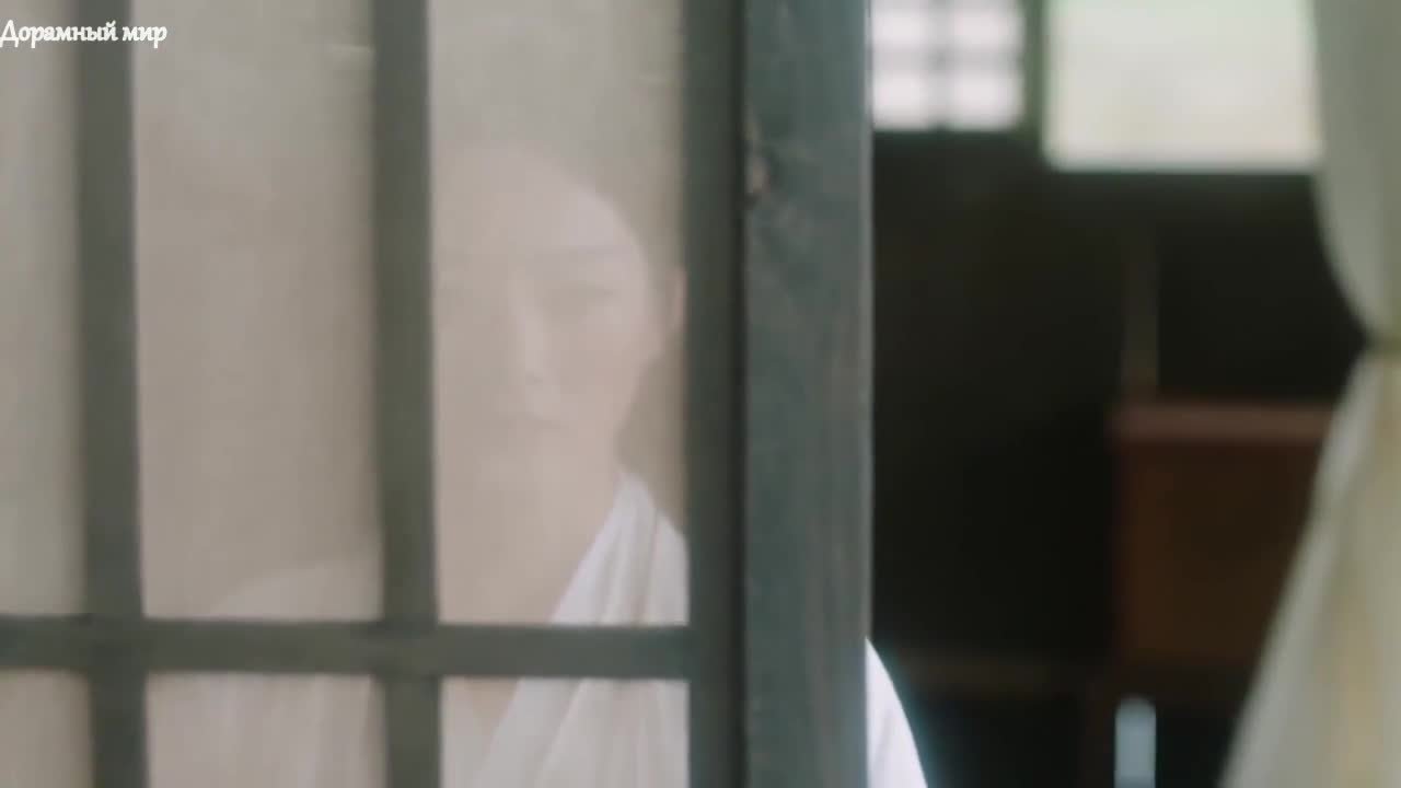 Путешествие с Фениксом