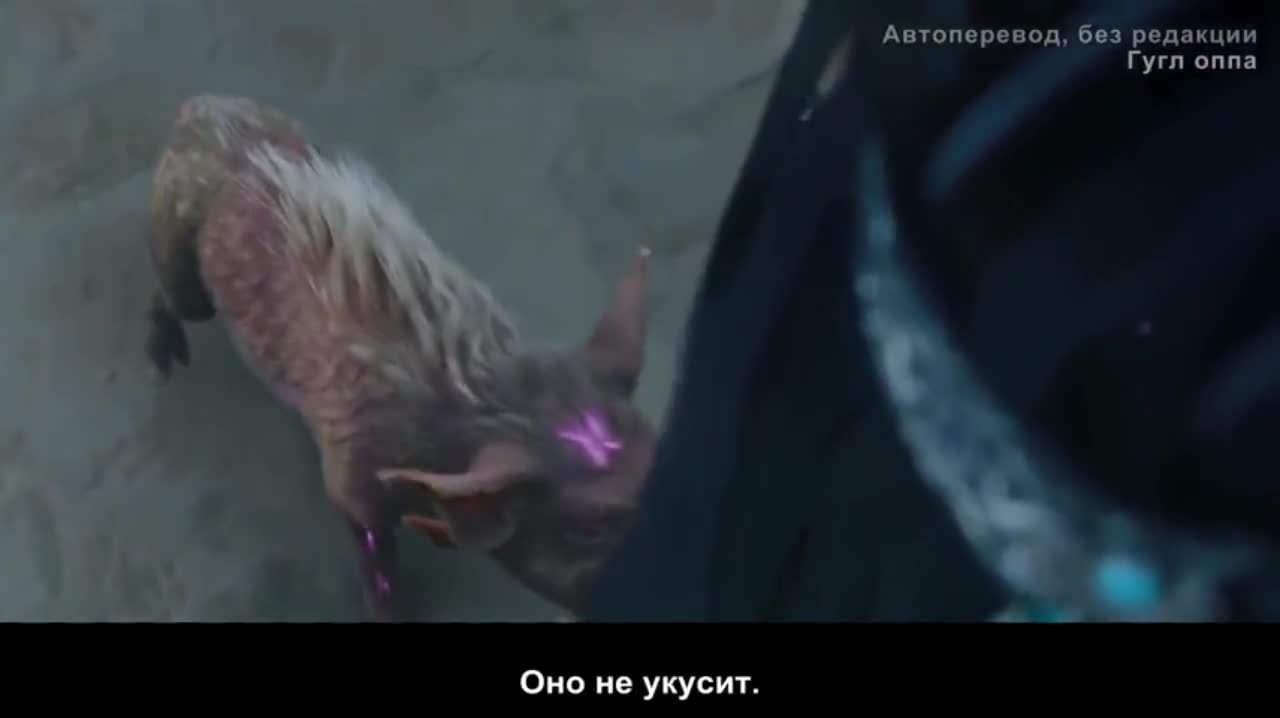 Путешествие с Фениксом