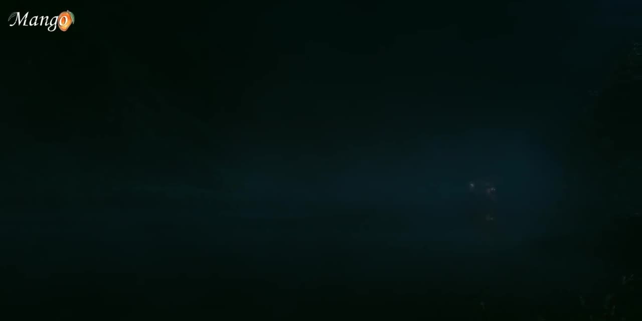 Скрытое очарование