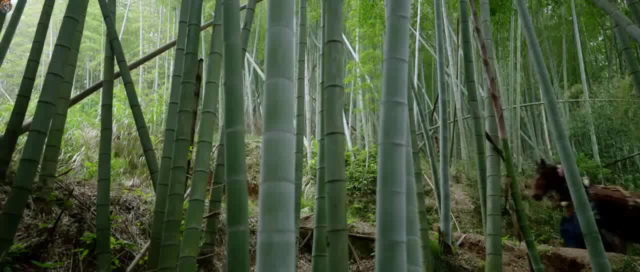 Орден цветов