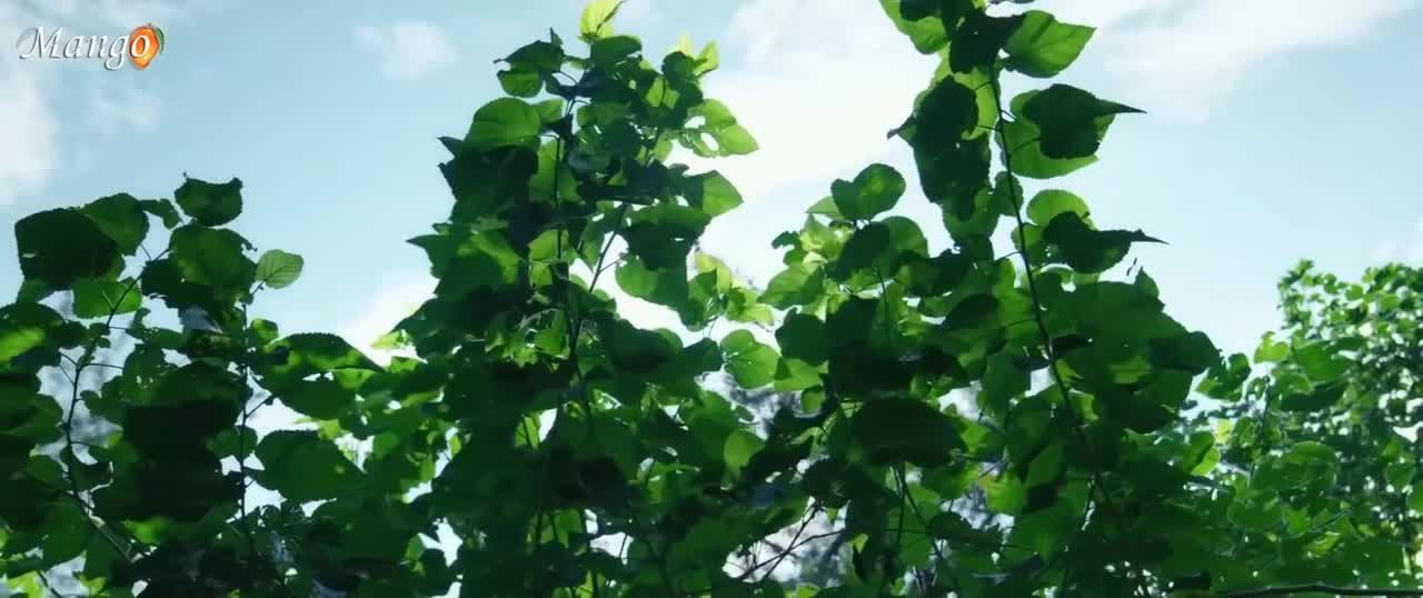 Воды текут вдалеке