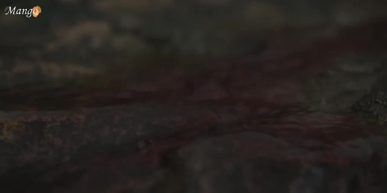 Разбитое сердце