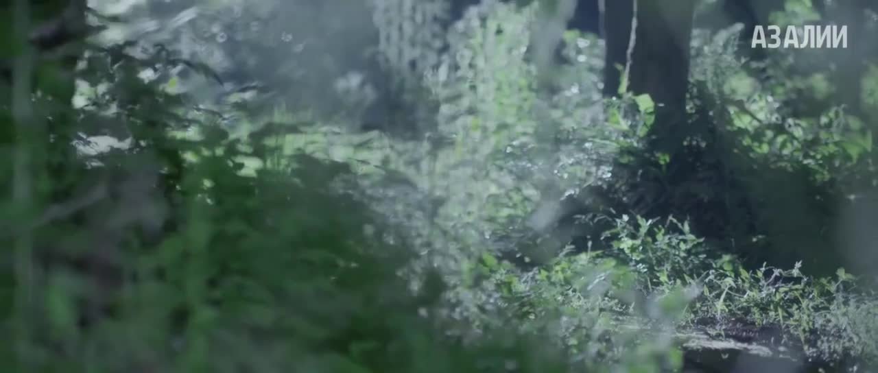 Перемещение