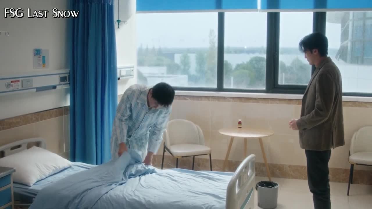 Белое оливковое дерево