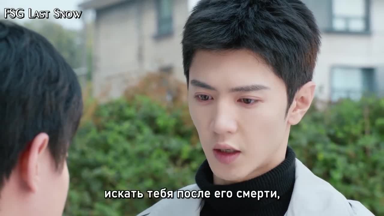 Белое оливковое дерево