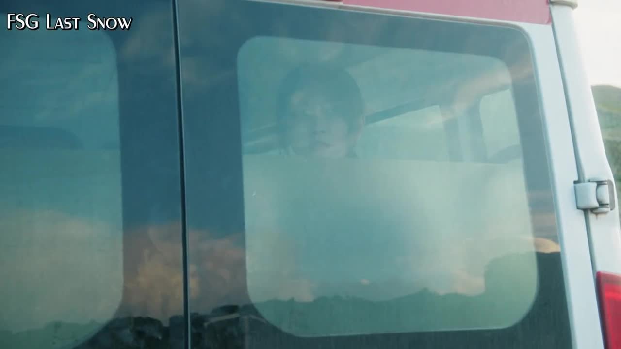 Белое оливковое дерево