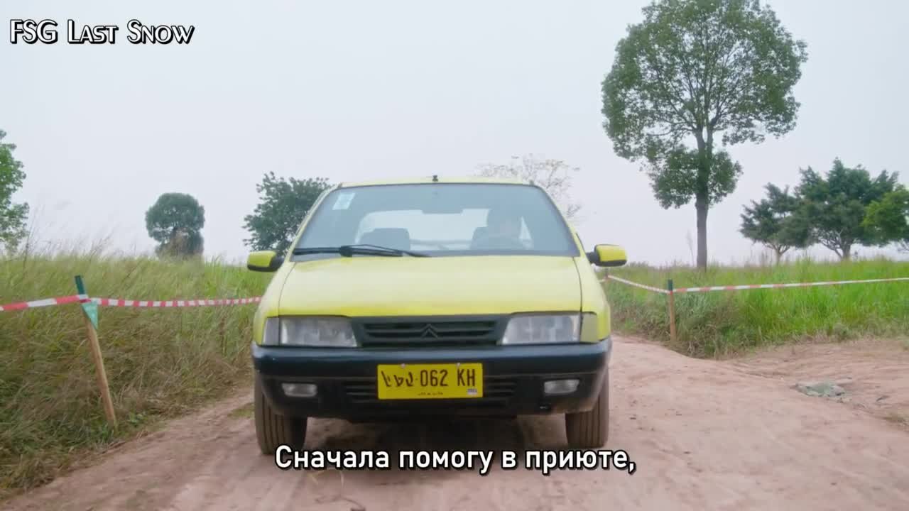 Белое оливковое дерево