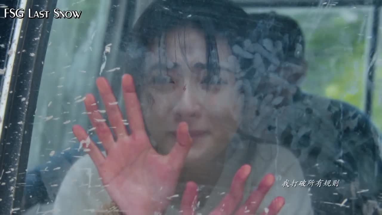 Белое оливковое дерево