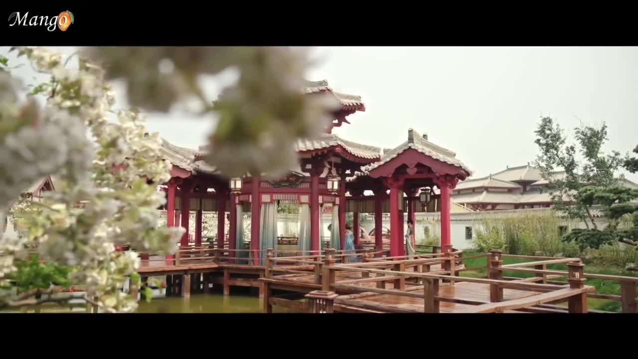 Цветущий пион