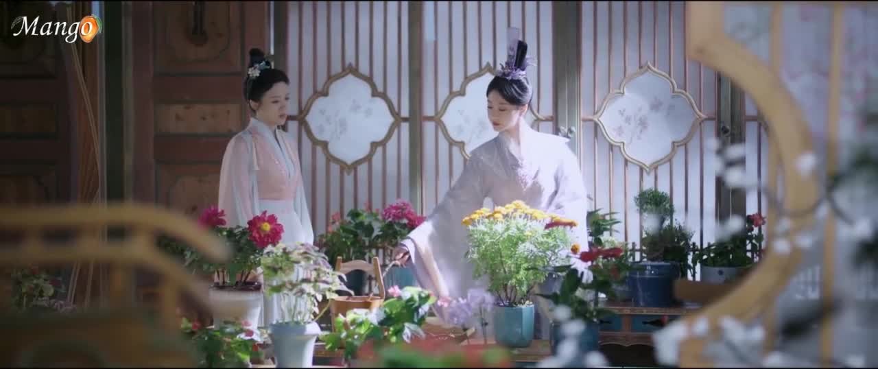 Вечное цветение персиков