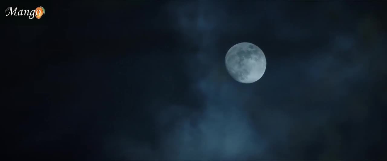 Божественное древо