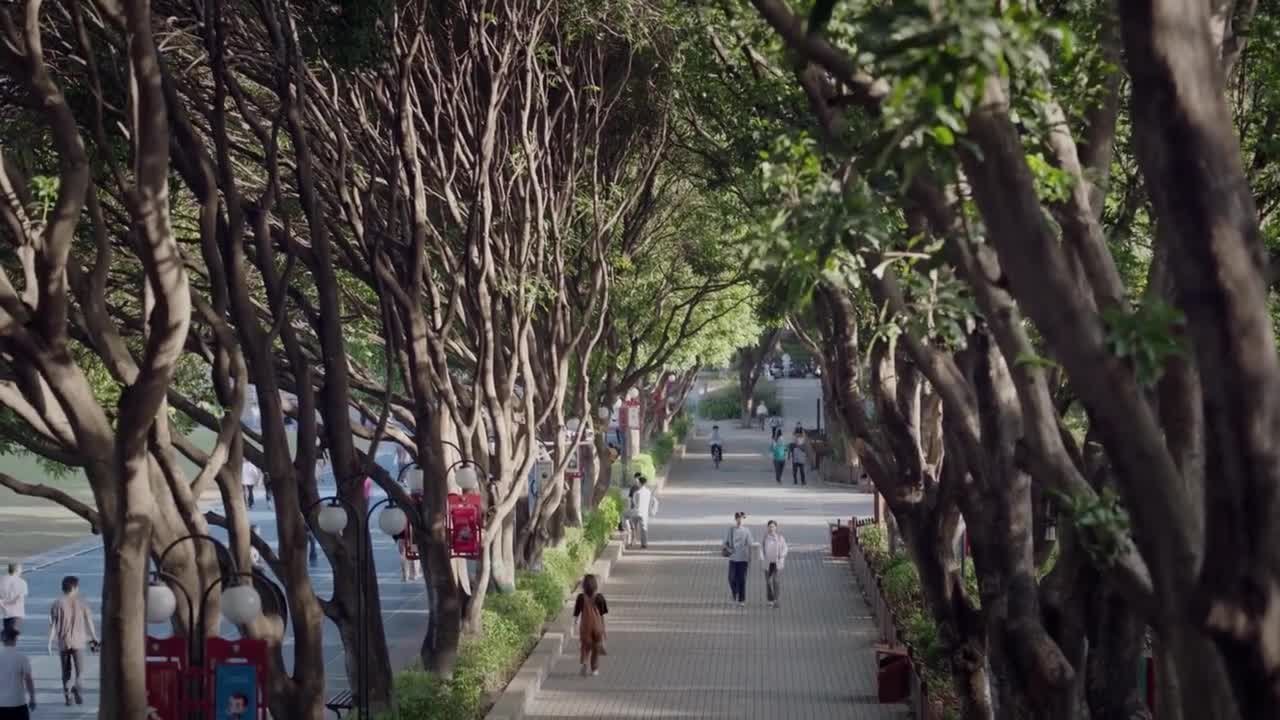 Возрождённая