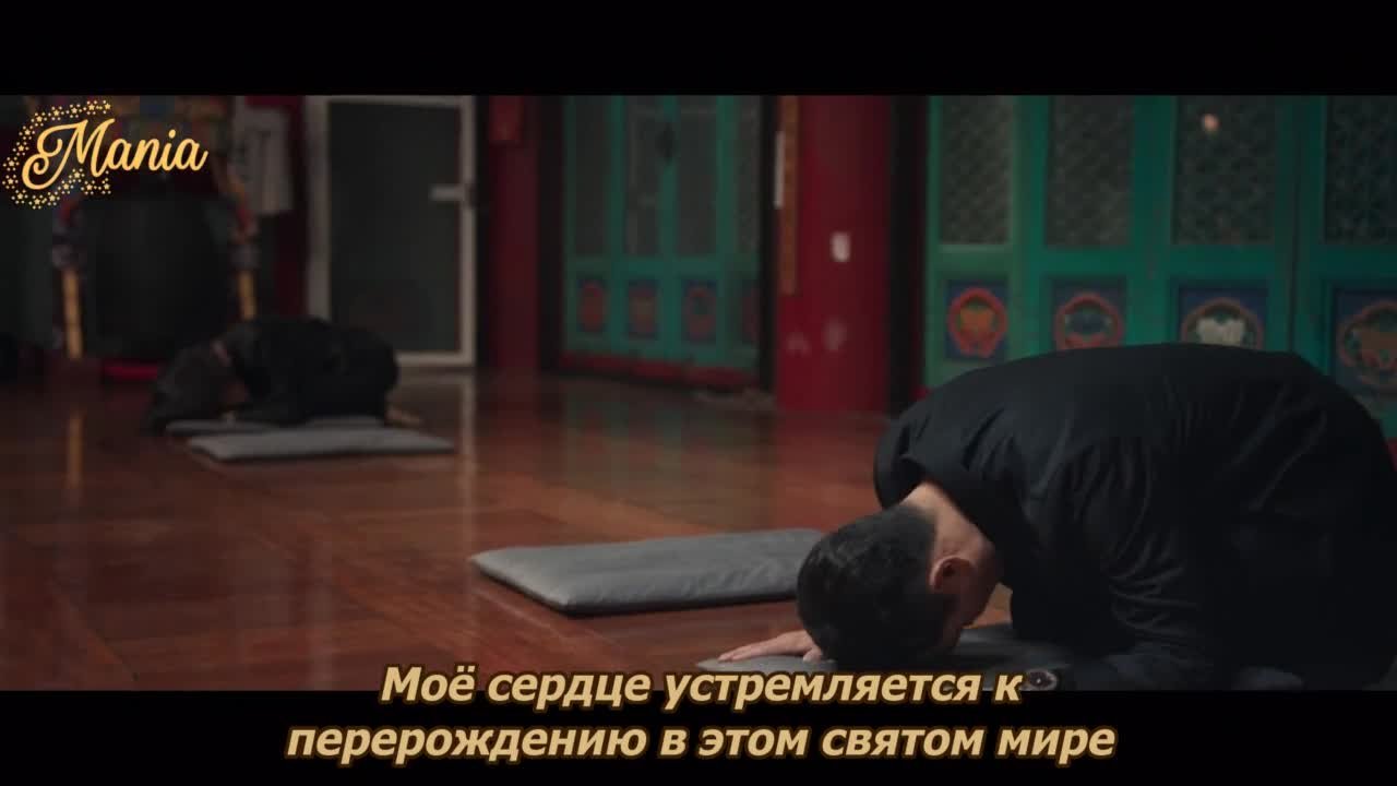 Спроси у звезд