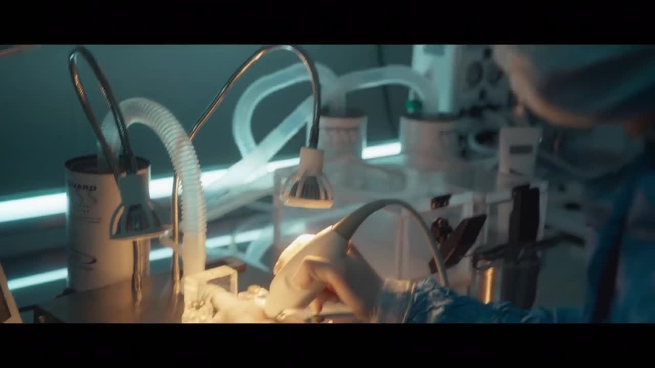 Спроси у звезд