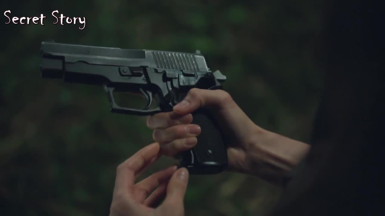 Полярная звезда