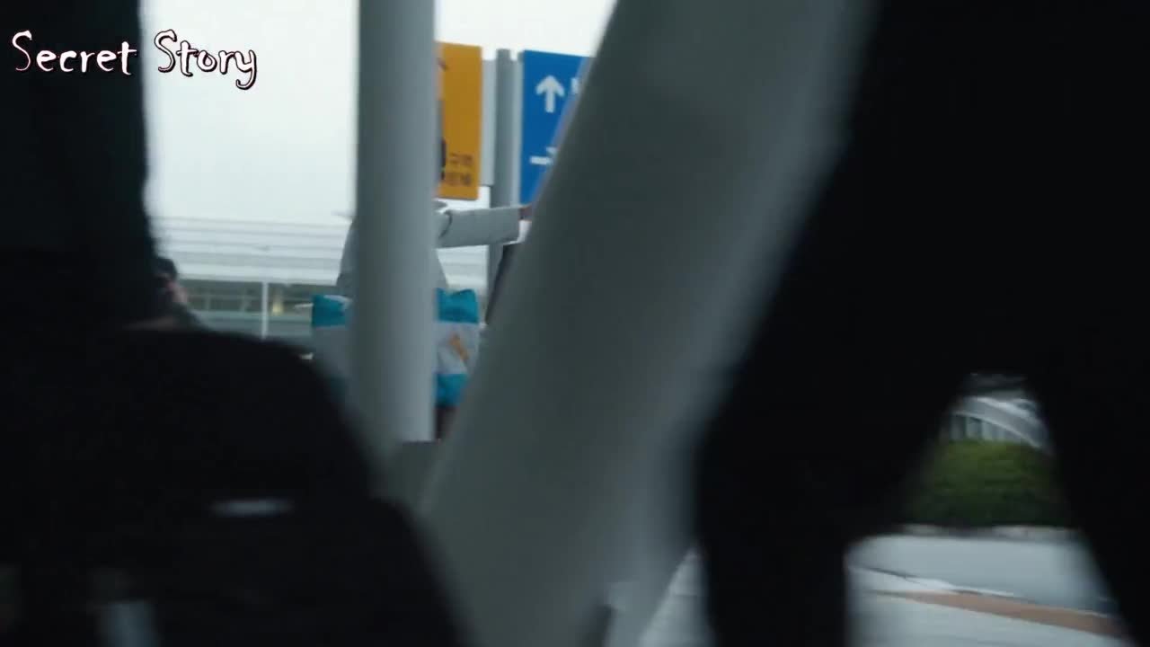 Полярная звезда