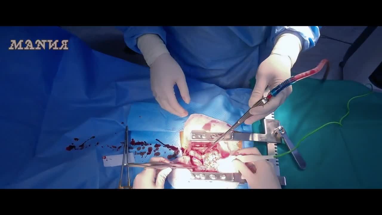 Корейские аферисты