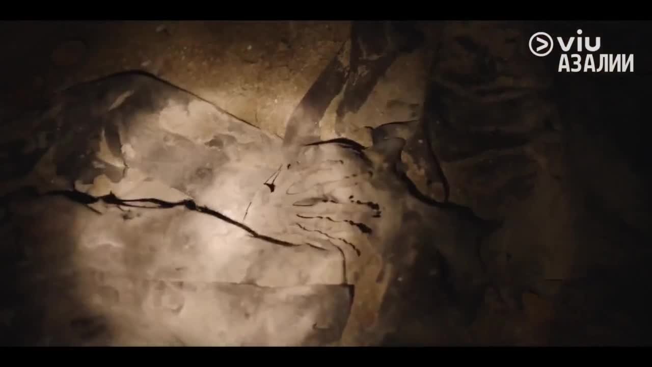 Под прикрытием в старшей школе