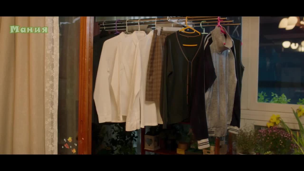 Семья по выбору