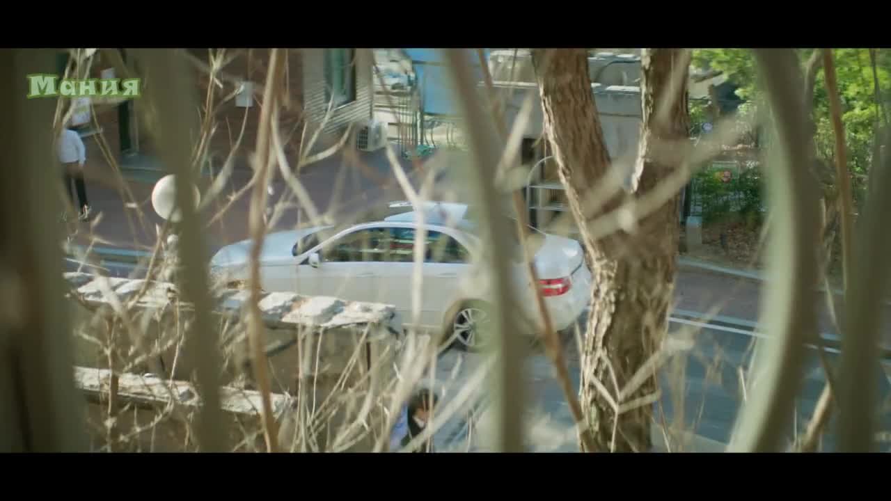 Семья по выбору