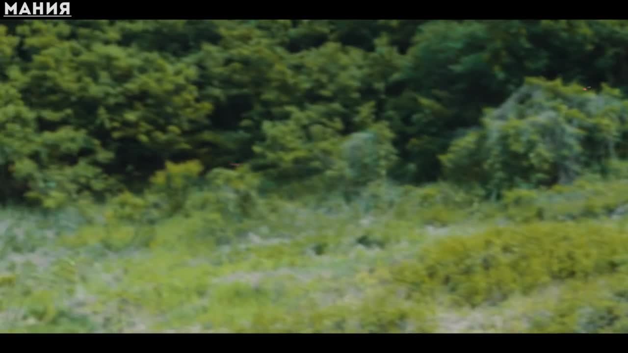 Королевский путь