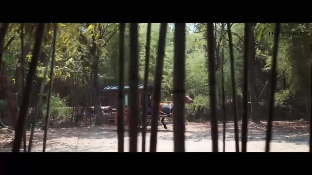 Судьбоносные сердца