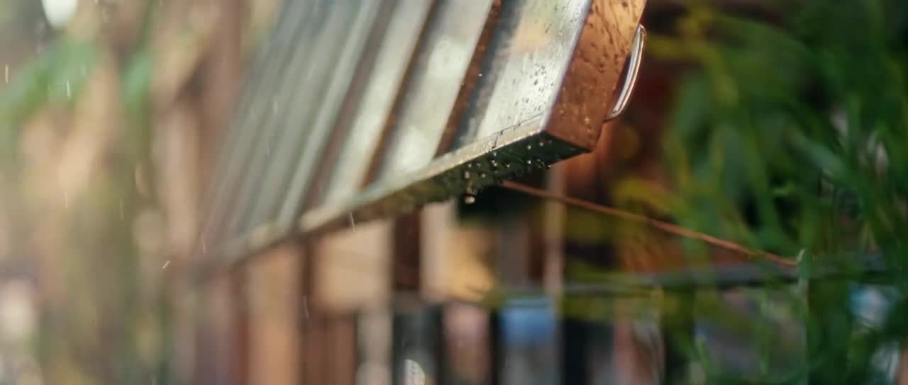 В погоне за бабочкой