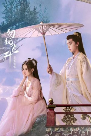 Постер «Просьба не мешать вознесению»