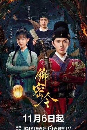 Постер «Миссия сердца»