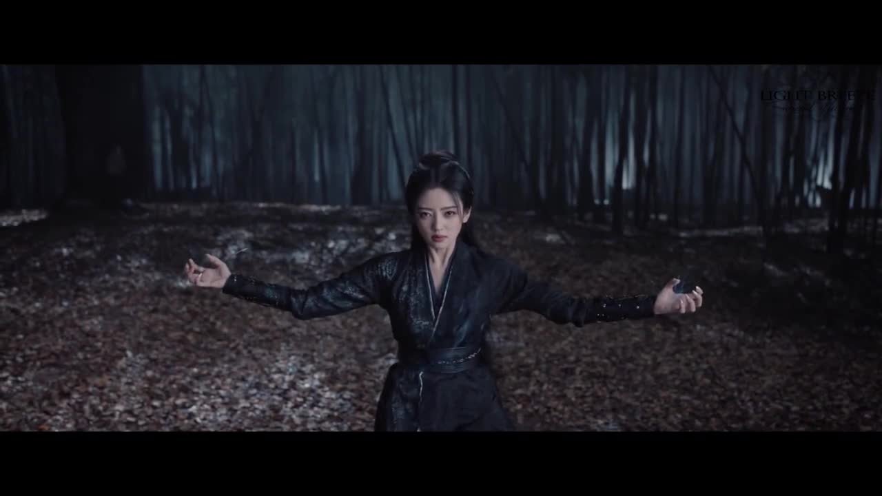 Сердце меча Небес и Земли