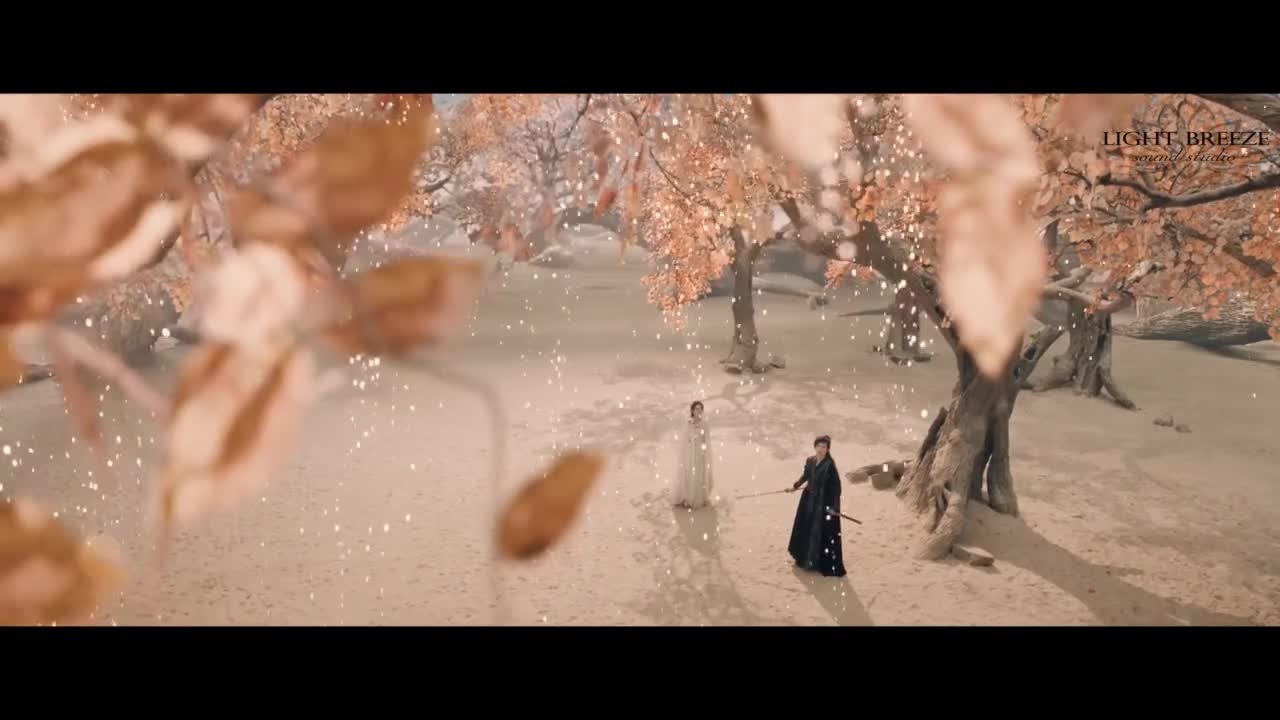 Сердце меча Небес и Земли