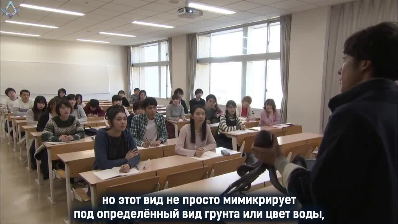 Мы созданы из чудес