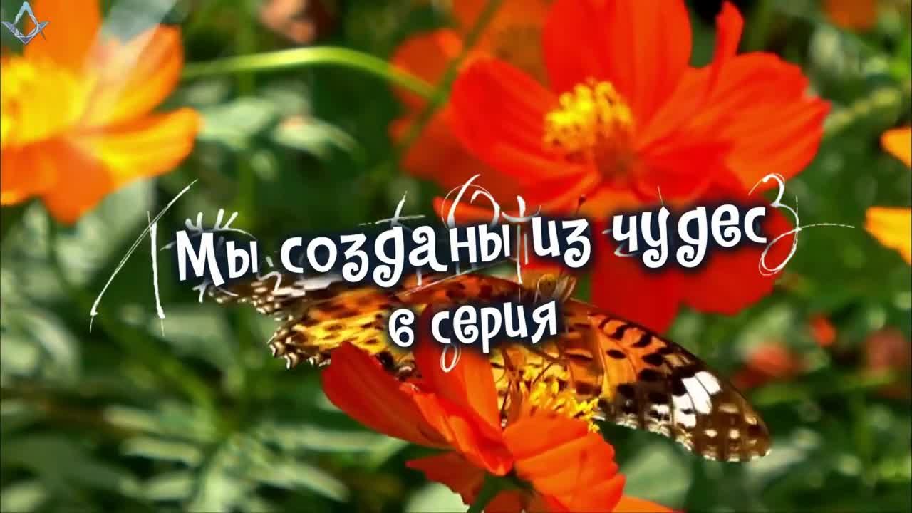 Мы созданы из чудес