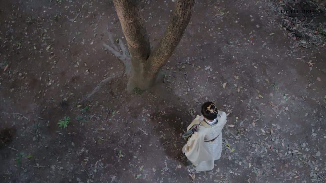 Восхождение на башню Фениксов