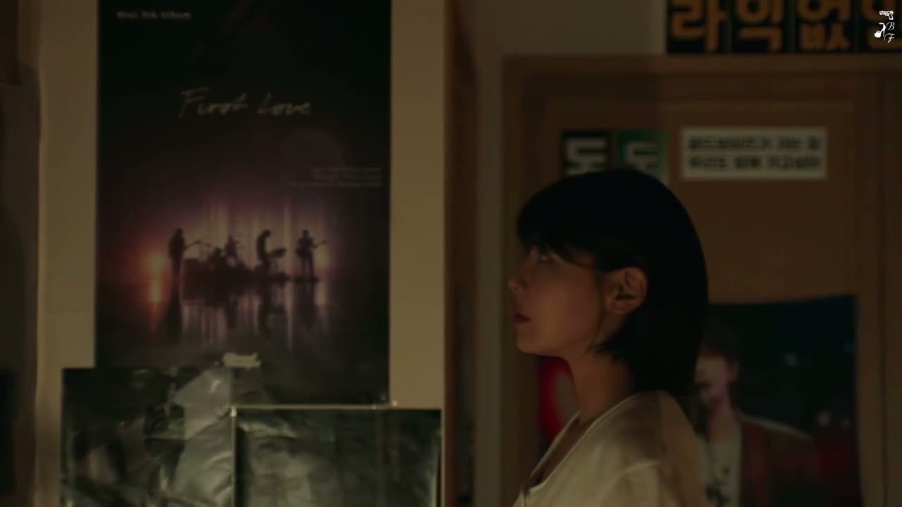 Адвокат айдола