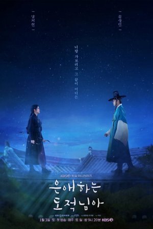 Турецкий сериал Мой любимый вор