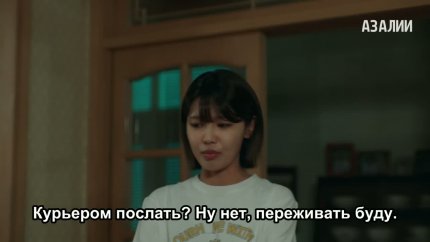 Адвокат айдола